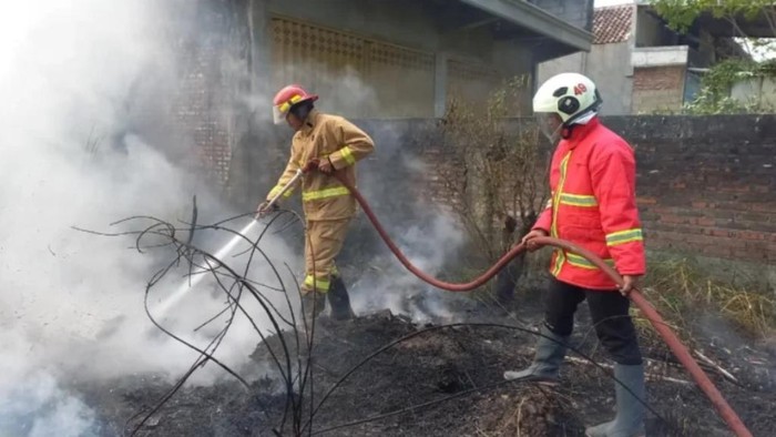 Damkar: 75 Persen Kebakaran di Pasuruan Dipicu Pembakaran Daun Kering