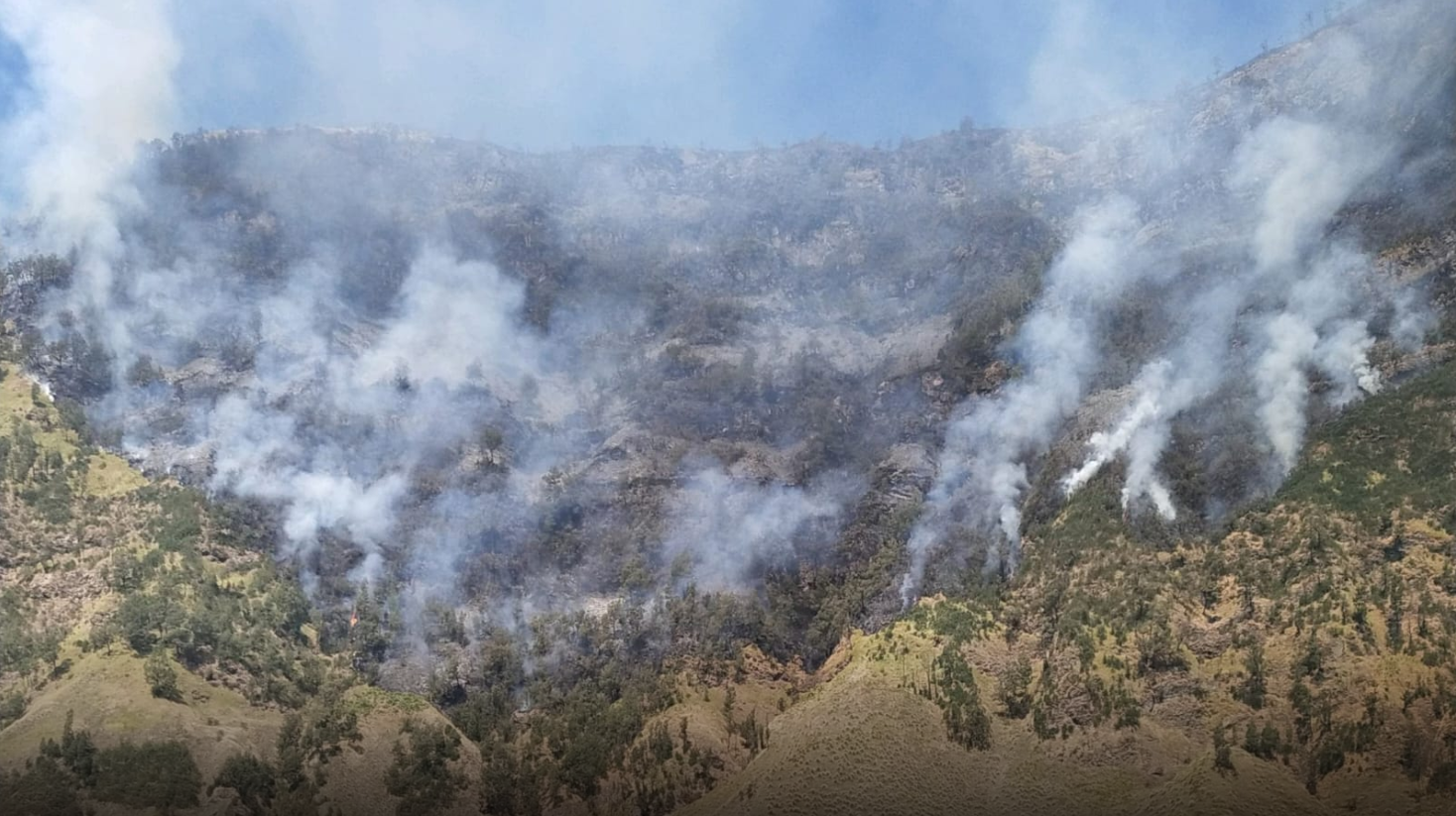 Api Karhutla Bromo Makin Meluas, Pemadaman Udara Diperkuat dengan Tiga Helikopter